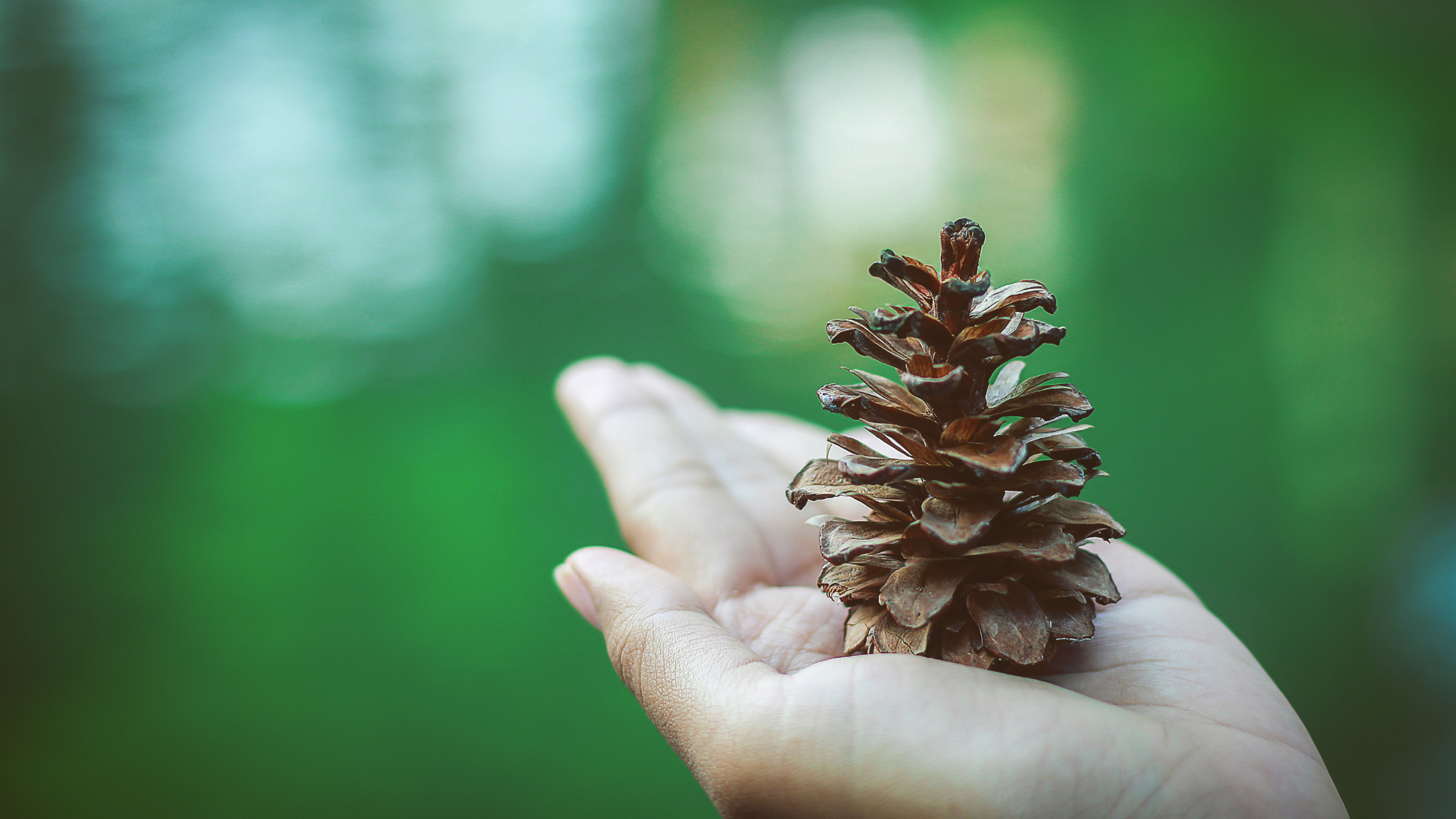 How to Make Your Business More Socially Responsible